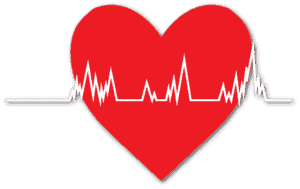 בעיות לב המכון הרפואי לבטיחות בדרכים